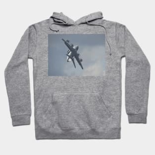 The Flying Grizzly Hoodie